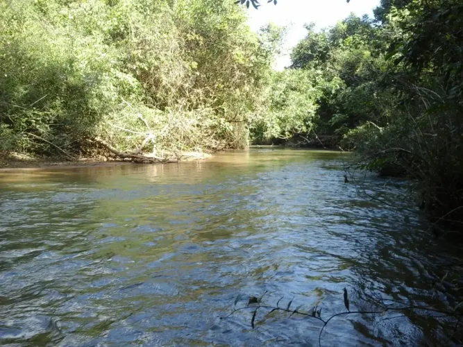 Fazenda/Sítio/Chácara para venda em Santa Cruz de Goiás