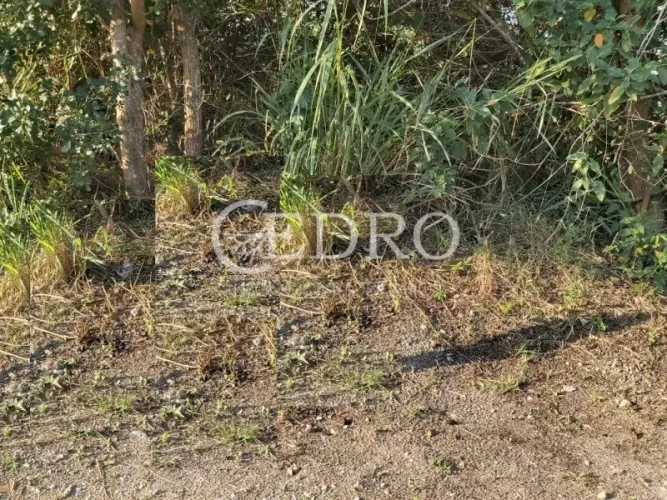 Terreno 455 m² Condomínio Caravelas Nina Caravelas Armação dos Búzios.