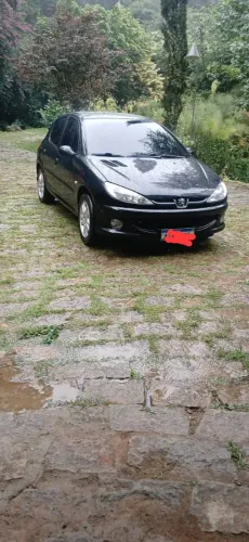Peugeot 206 Allure 1.6 Flex 16V 5P 2008