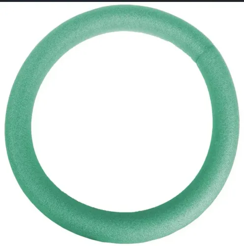 Bóia espaguete flutuador circular 