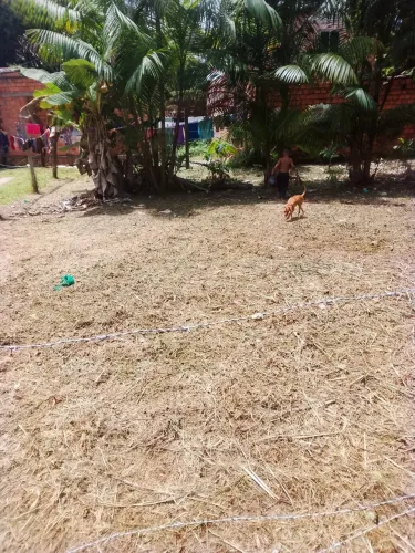 Lote em Mosqueiro 
