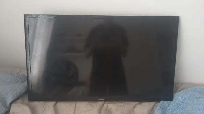 TV SAMSUNG