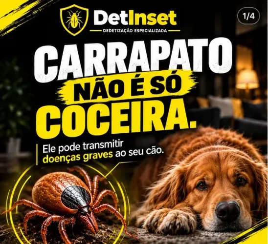 Dedetização Carrapatos