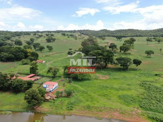 Oportunidade Única - Fazenda de 58 alqueires (280 hectares) em Morrinhos- GO