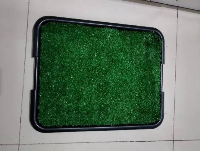 Sanitário Higiênico graminha