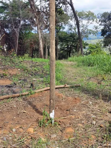 Vendo lote em inacia de Carvalho São José da lapa