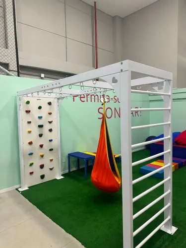 Estrutura TO - Integração Sensorial para Terapia Ocupacional - Estado: Seminovo