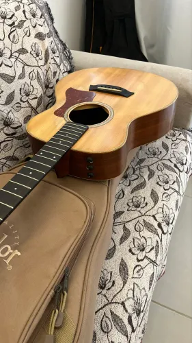 Taylor gs mini