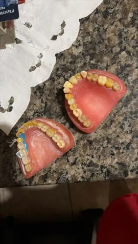 Manequim de dentistica