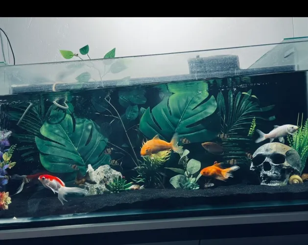 AQUÁRIO 120L