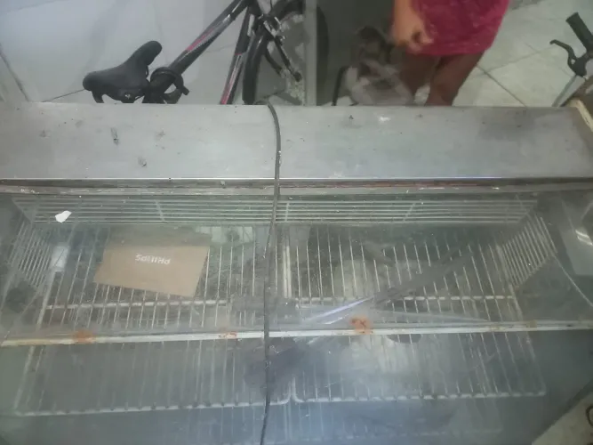 Freezer expositor 