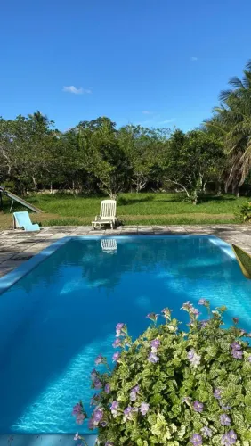 Vendo linda chácara com 2 hectares
