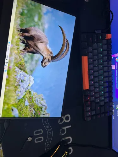 Monitor portátil de 60hz