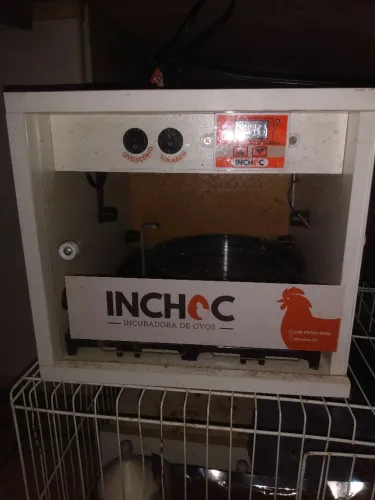 Chocadeira inchoc original