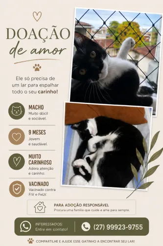 Adoção responsável