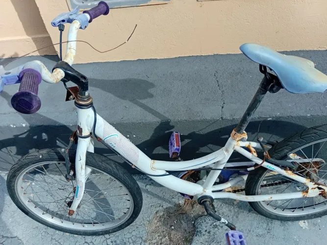 Bicicleta