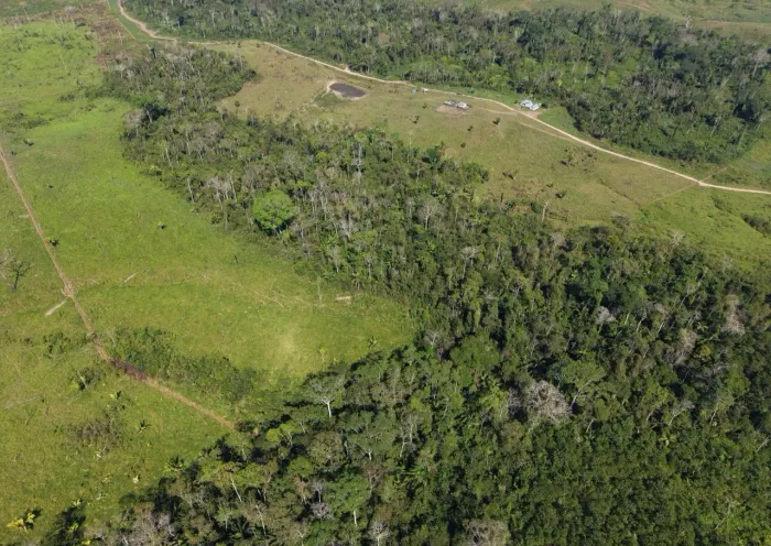 TERRA À VENDA EM FEIJÓ