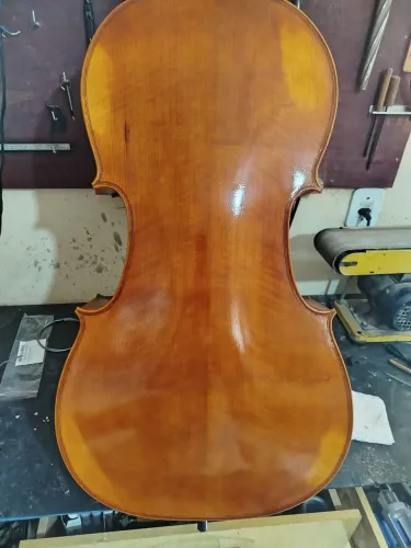 Violoncelo