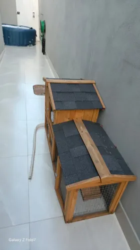 Galinheiro