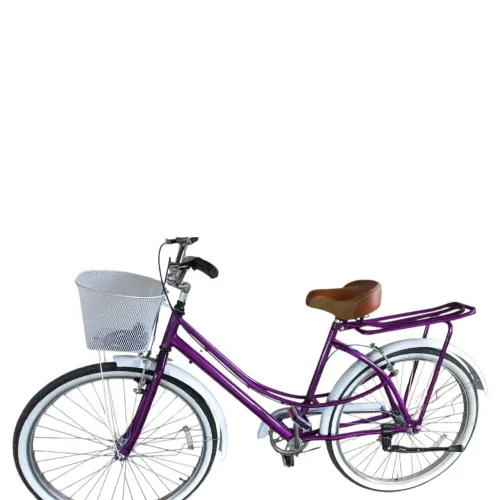 Bicicleta Vintage SemiNova