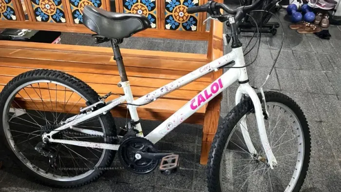 Bicicleta