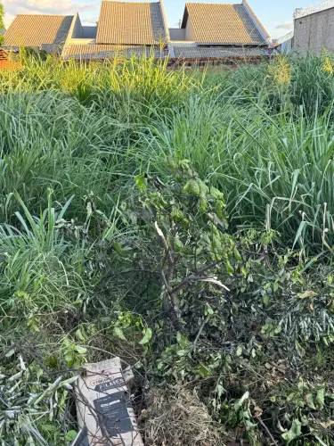 Terreno no Jardim Buriti Sereno, Aparecida de Goiânia 