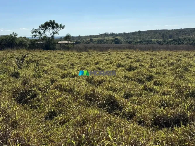 FAZENDA À VENDA - 173 HECTARES - CURVELO (MG)