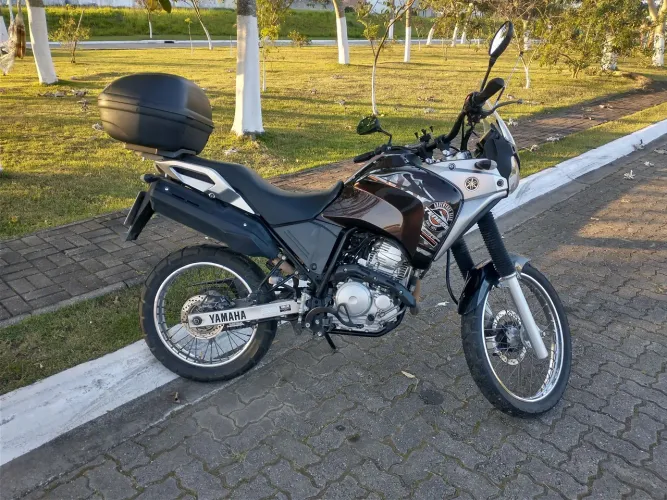 Yamaha Ténéré Blueflex 250 2018