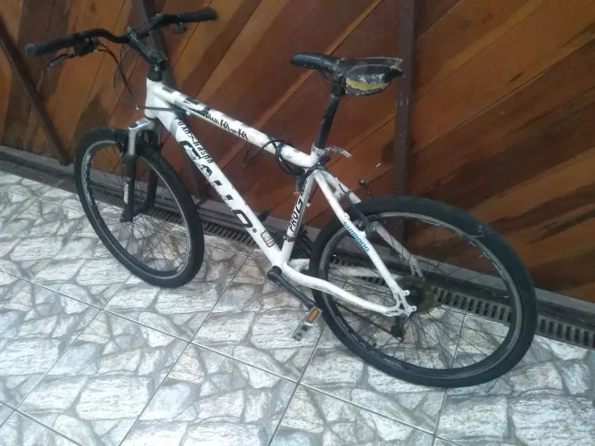 Bicicleta Gallo 