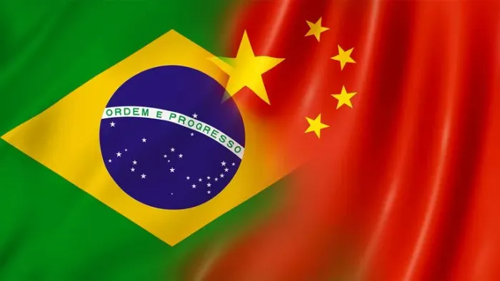 Tradutor interprete de chinês (mandarim)