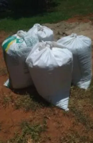 Esterco de gado de LEITE  direto Fazenda