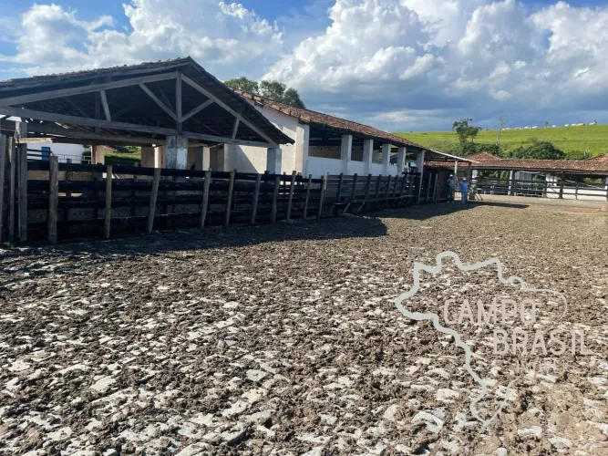 FAZENDA 165,20 ALQUEIRES TOPOGRAFIA PLANA NO VALE DO PARAÍBA !