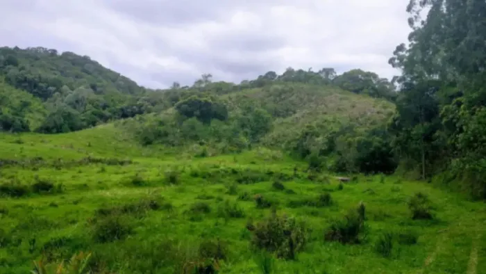 Lote/Terreno para venda tem 30675 metros quadrados em RODOVIA - Angelina - Santa Catarina