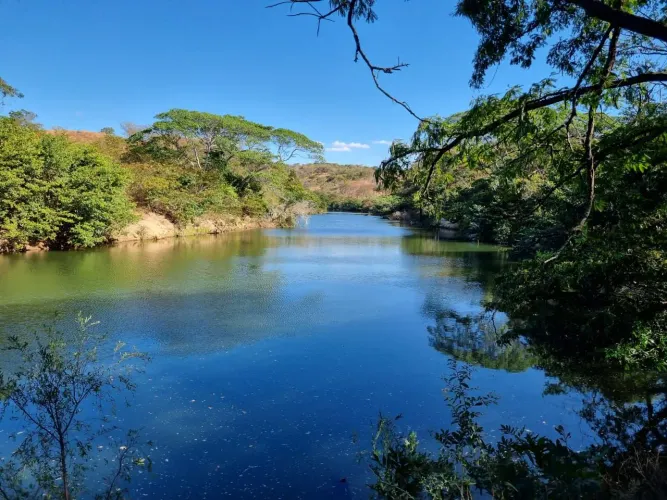 Fazenda 86 há em Santana de Pirapama 