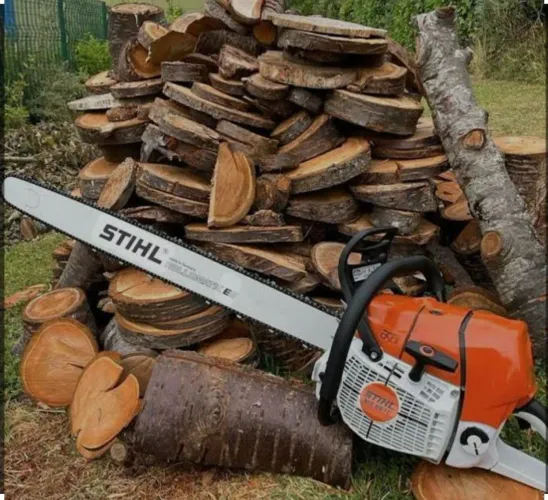 Corta e poda árvore de qualquer tamanho 
