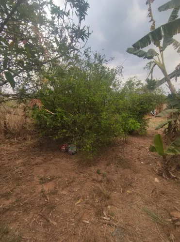 Vendo lote em santa luzia