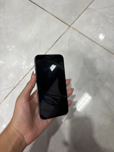 13 pro 256gb