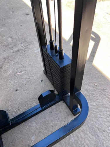 Mesa flexora