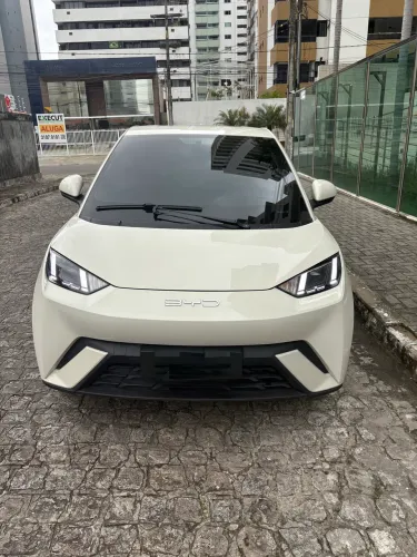 BYD Dolphin Mini (Elétrico) 2024