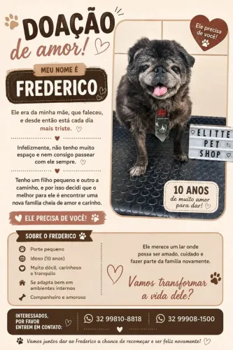 Doação Frederico 