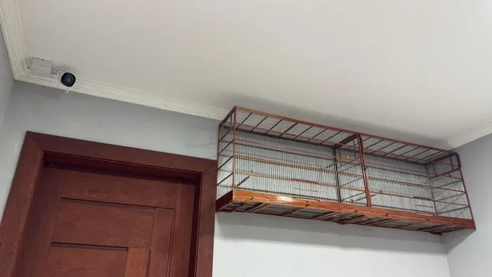 Gaiola Voador Luxo