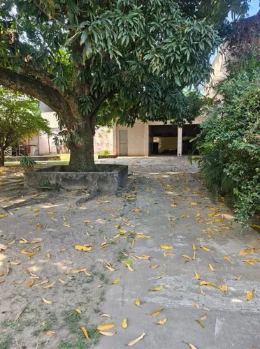 Oportunidade de investimento terreno na Freguesia
