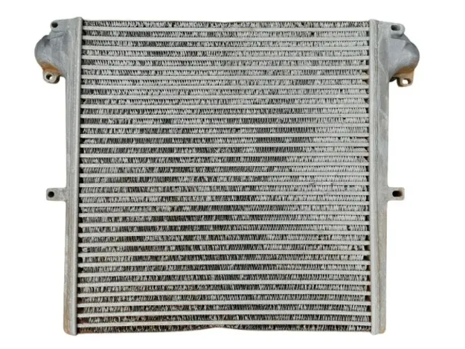 Intercooler Ford Cargo 2429 1722 2422 Com Detalhe Original