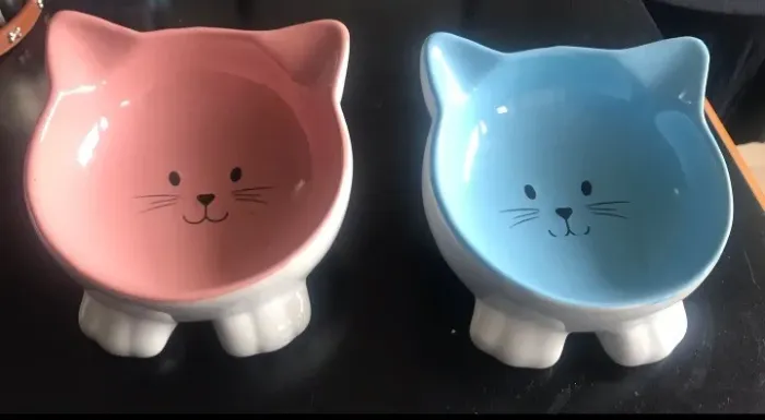 PROMOÇÃO Potinhos para pet