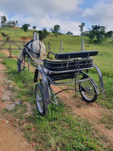 Vendo charrete egua e arreio