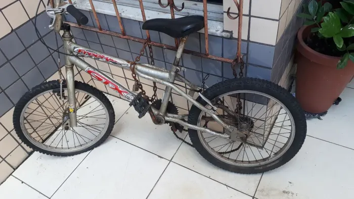 Bicicleta búfalo