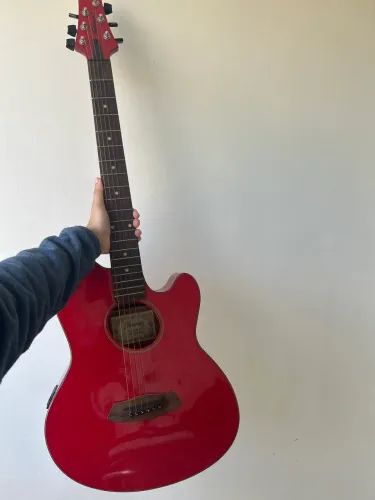 VENDE- SE VIOLÃO PROFISSIONAL 