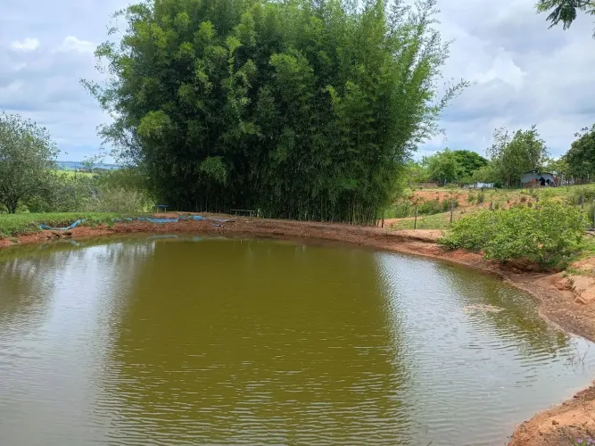 Vende-se Sítio Espetacular de 10.000 m² em CONCHAS - SP!