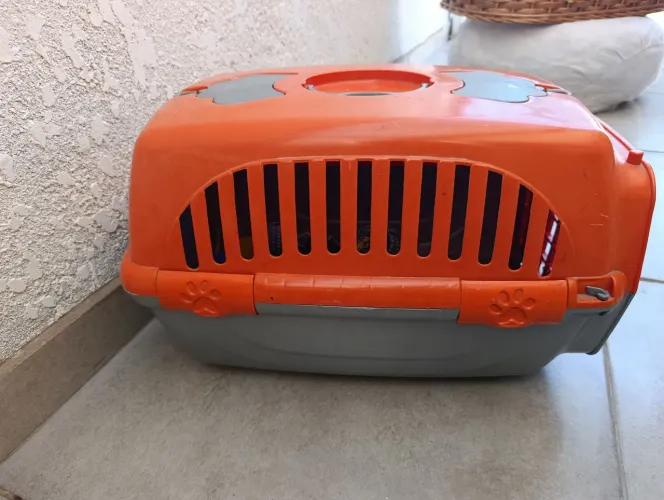 Casinha pequena para transportar cachorro