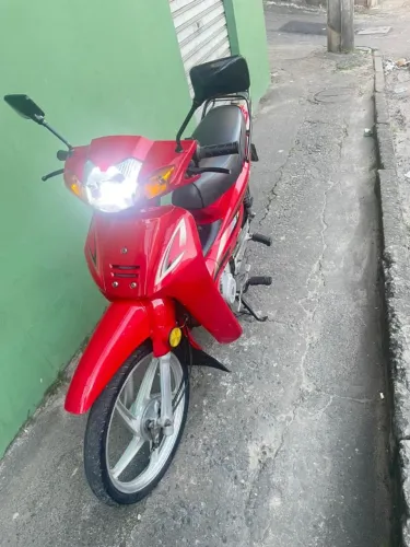 50TINHA PHONIX ZERA 